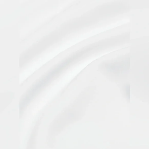 Aritzia Babaton Founder Pant Softly Structured Ultra Wide Leg Pleated Pants NWT - Picture 9 of 10